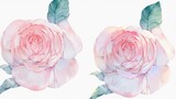 [SAI Watercolor] Rose Painting Tutorial For Rookies