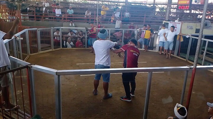 nagpa FPJ pa man noon manoka.maayu nidaug😅