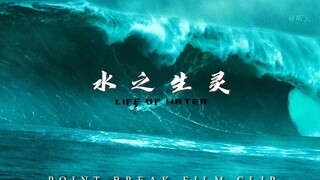 “我们都会死去，重要的是以什么样的方式”