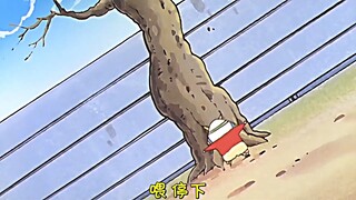 在小新的领域内智商都要减50