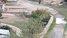 Farm life view 😊😊😊