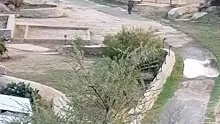 Farm life view 😊😊😊