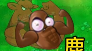 พืชที่ล้ำเลิศ: เมล็ดกาแฟไวอากร้า