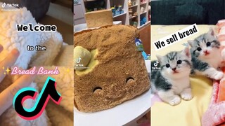 Welcome To The Bread Bank - TikTok Meme Compilation