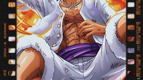 ace luffy