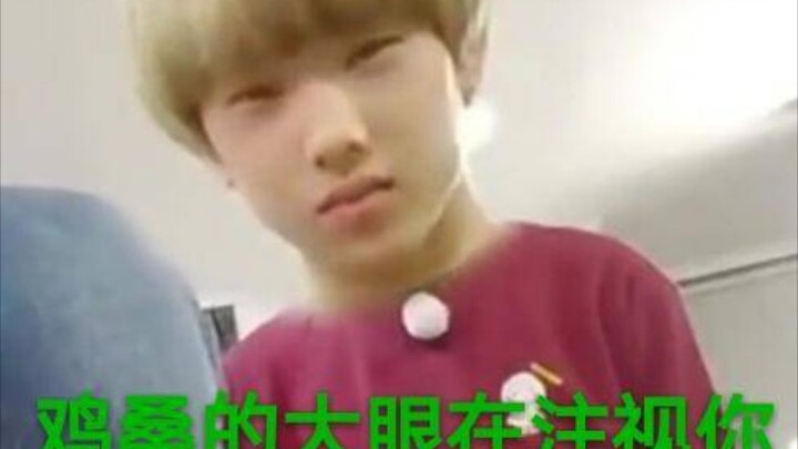 【NCT】Guess which Chinese celebrity NCT resembles~