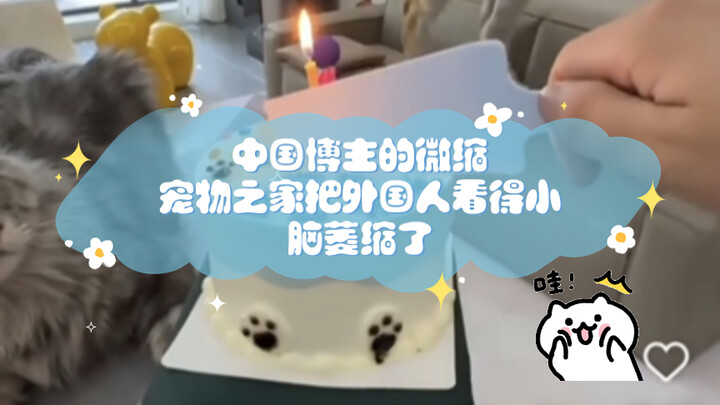 【Bình luận mạng quốc tế】Ngôi nhà thu nhỏ cho thú cưng của blogger Trung Quốc khiến người nước ngoài 
