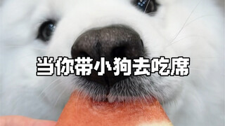 เจ้าตูบกลุ่มแรกที่ได้กลับบ้านฉลองปีใหม่จีนก็เริ่มร่วมงานเลี้ยงแล้ว～