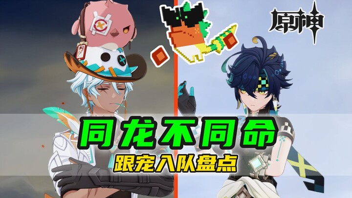 [Genshin Impact] A comprehensive review of 19 new pets to join your team! I'm not convinced by the a