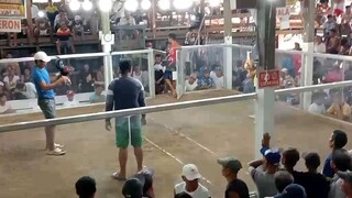 2 hits ulotan 7k bigay agad 1st fight Osmeña Marabut Samar Galleria Win