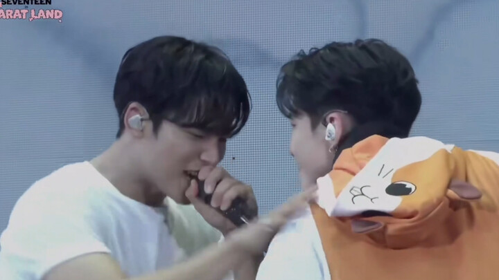 【seventeen】Double-door HyunA and hamster version of trouble maker