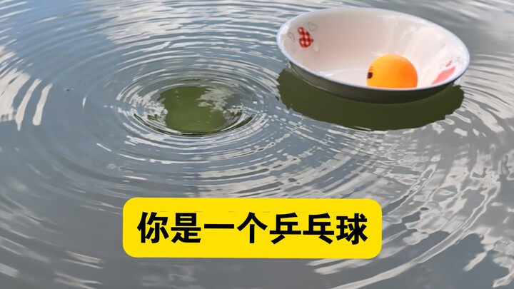 Giả sử bạn là một quả bóng bàn