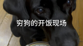 Xác nhận đi xác nhận lại, đây thực sự là thứ tôi có thể ăn sao?🙊 , nhà nghèo mà có một sứ giả dọn sạ