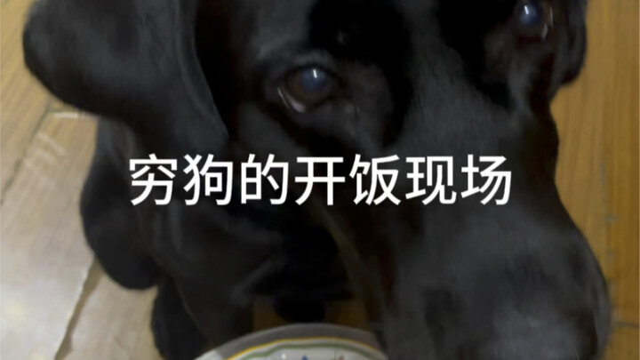 Double-checking—can I really eat this?🙊 There's a clean-plate warrior in the poor guy's household; l