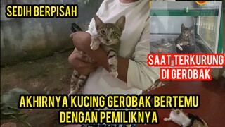 Kucing Menangis Terkurung Di Gerobak Martabak Akhirnya Bertemu Pemiliknya..!