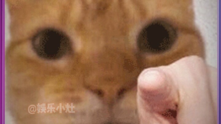 معجزة طبية كادت تتحول إلى حادث!