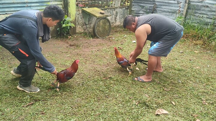 Beginner lang po mga boss