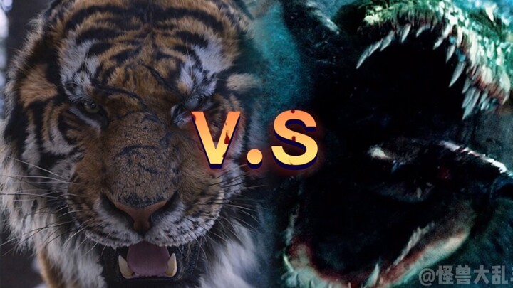 Pertarungan Berdarah Buaya Harimau: Raja Gunung Harimau Besar vs Gustave