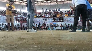 #sabong life#naka-tsamba