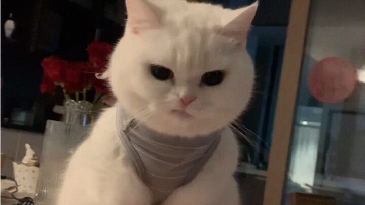 This kid’s trying to look cool again.