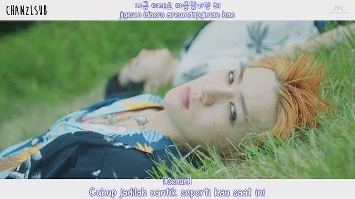 EXO - Ko Ko Bop (Indo Sub) [ChanZLsub]