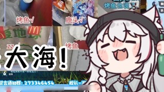 [Hikaru Ayase] Ý nghĩa của 11 bông hoa màu xanh băng giá là gì!