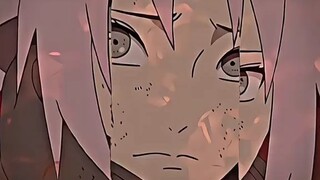 sakura channn