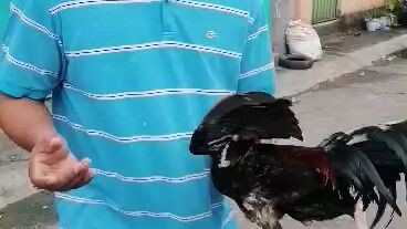 Pula For win ☺️☺️