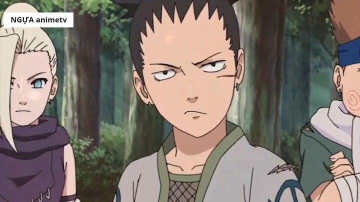 Top 7 Team Mạnh Nhất Làng Lá _ Team Naruto Sasuke Sakura Hạng Mấy_ 7