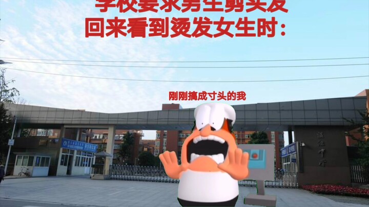 Trường tôi mà thế này