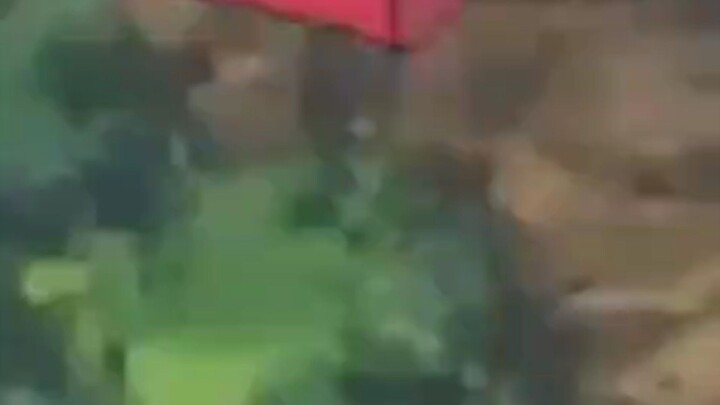 BoBoiBoy