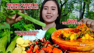 MAKAN LALAP BATANG PEPAYA MENTAH JENGKOL MUDA IKAN GULAI TEMPOYAK#mukbanglalapanmentah#papayatree