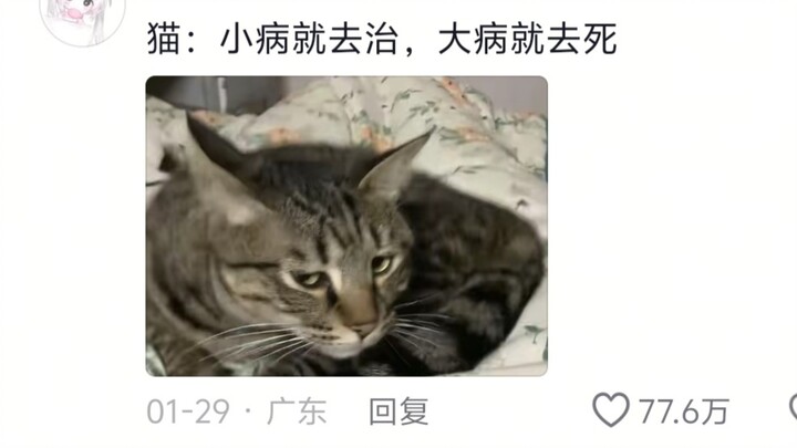 Mi is so naughty! How can you sleep while someone’s flipping the pan?