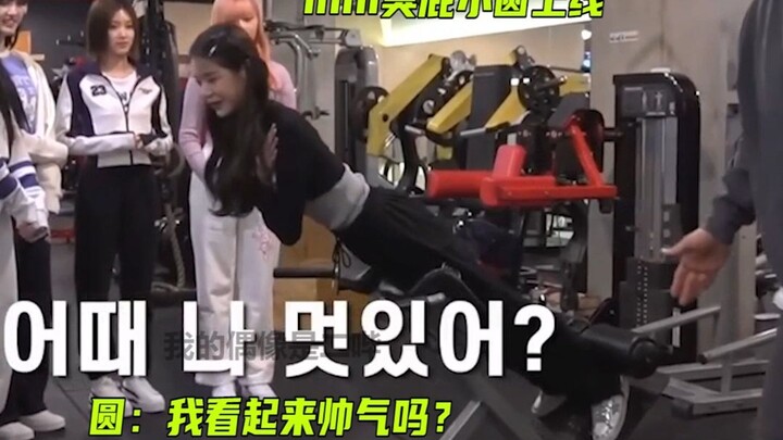 Zhang Yuanying often wonders if there's anything this woman can't do perfectly.