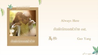 (THAISUB / PINYIN) Always Here – 高杨 Gao Yang กับดักรักบอสตัวร้าย ost.