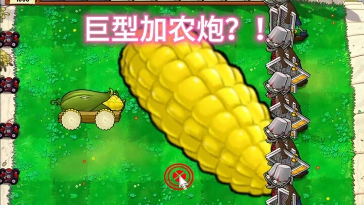 Who put this plant on my lawn?