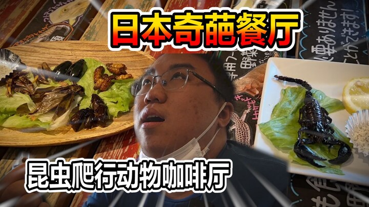 Unbelievable! This is a super weird restaurant called Reptile Cafe in Japan! Who would eat here?
