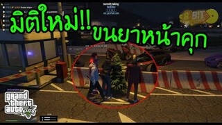 GTA V - เฉลยจุดขนยา ก่อนรีจุด