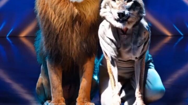 American Got. Talent: Old Man Morphs into Lion & Woman into Wolf