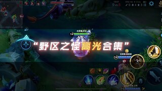 เรื่องราวการฝึกมังกร