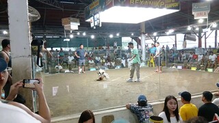 1st fight win 2hits ulutan sweater melsim