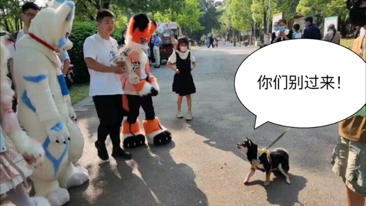 Chai Chai: Làm tôi sợ chết khiếp!