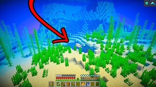 เอาชีวิตรอดแต่เรากลายเป็นปลา.. สำรวจหลุมปริศนาทั้งหลาย l Minecraft (แปลงร่าง) #2