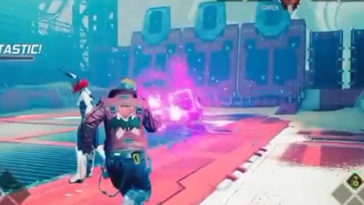 rooster fighter
