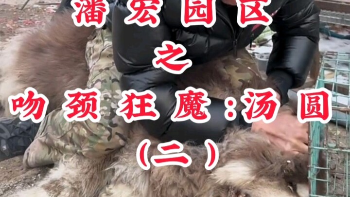 พานหง่วนยู่หยวนแห่งสวนอันหลิง: ปีศาจจูบคอ ทังหยวน (ตอนที่สอง)