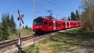 BEAUTIFUL Trains whistling at a unmanned level crossing in Zurich (Uetliberg)