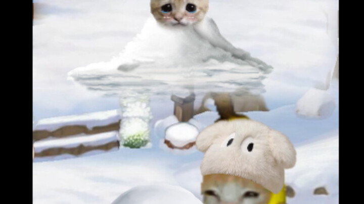 Banana Cat vs. Doll: A Snowball Fight!