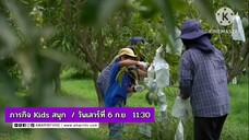ภารกิจ Kids สนุก แหล่งรวมมะม่วงกว่า 600 สายพันธุ์ จ.สระบุรี วันเสาร์ที่ 6 ก.ย. เวลา 11.30 น.