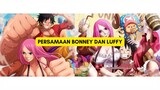 Luffy dan Bonney jodoh karena banyak kesamaan?!!