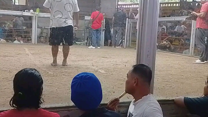 bulik balik